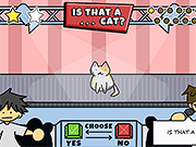 Is That a Cat?
